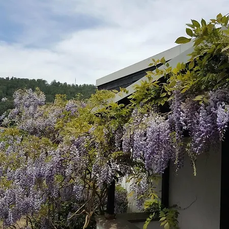 Idyllische Mitten In Der „ Haus Magnolia „ Appartamento Fischbachtal