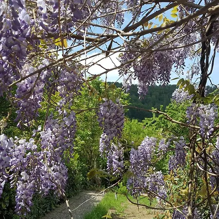Idyllische Mitten In Der „ Haus Magnolia „ * Fischbachtal