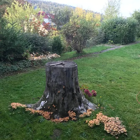Idyllische Mitten In Der „ Haus Magnolia „ * Fischbachtal