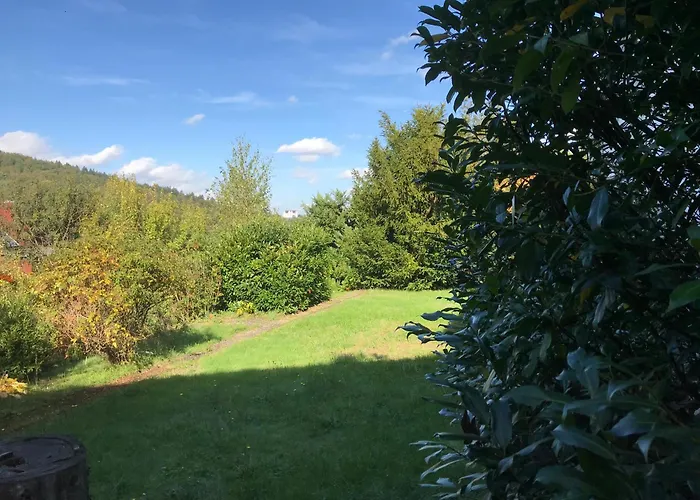 Idyllische Mitten In Der „ Haus Magnolia „ アパート Fischbachtal