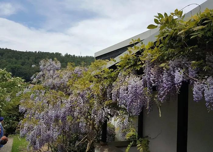 Idyllische Mitten In Der „ Haus Magnolia „ アパート Fischbachtal