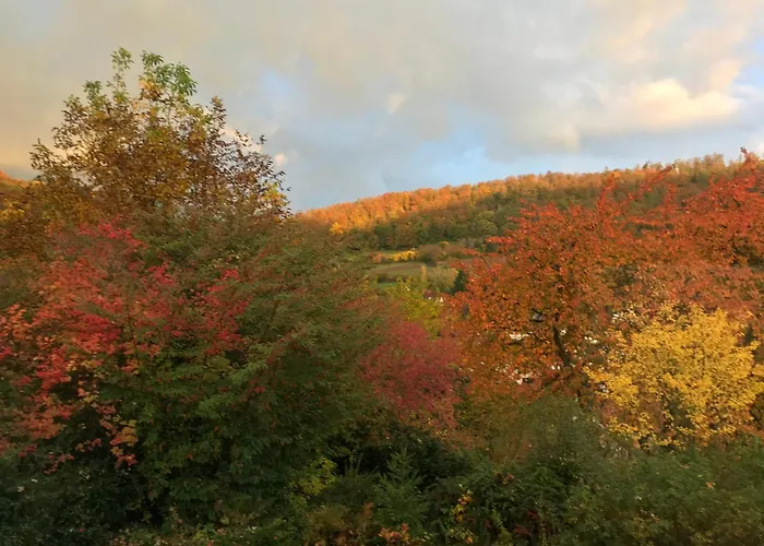 アパート Idyllische Mitten In Der „ Haus Magnolia „ Fischbachtal