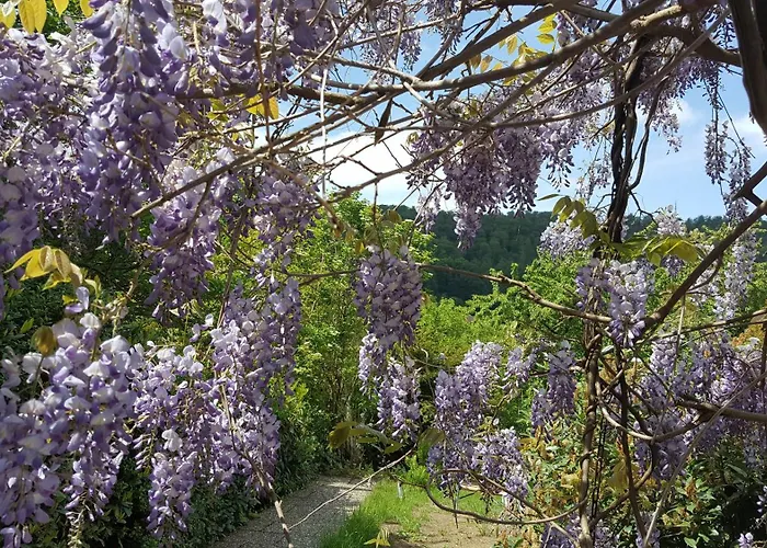 Idyllische Mitten In Der „ Haus Magnolia „ * Fischbachtal